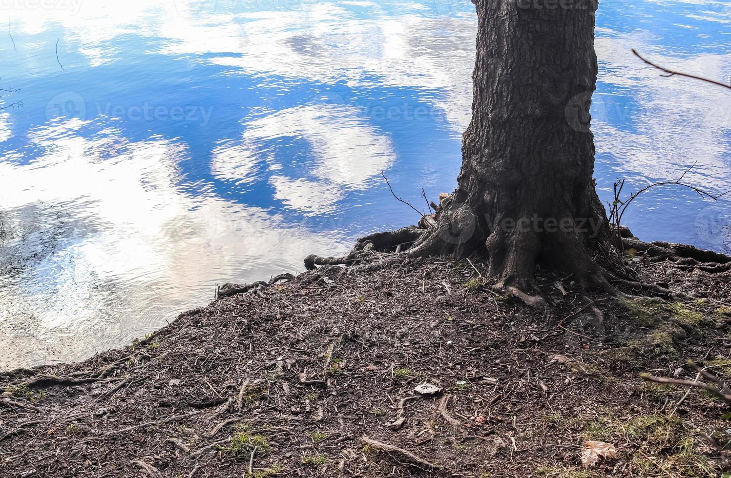 bela paisagem em um lago com uma superfície de água reflexiva foto