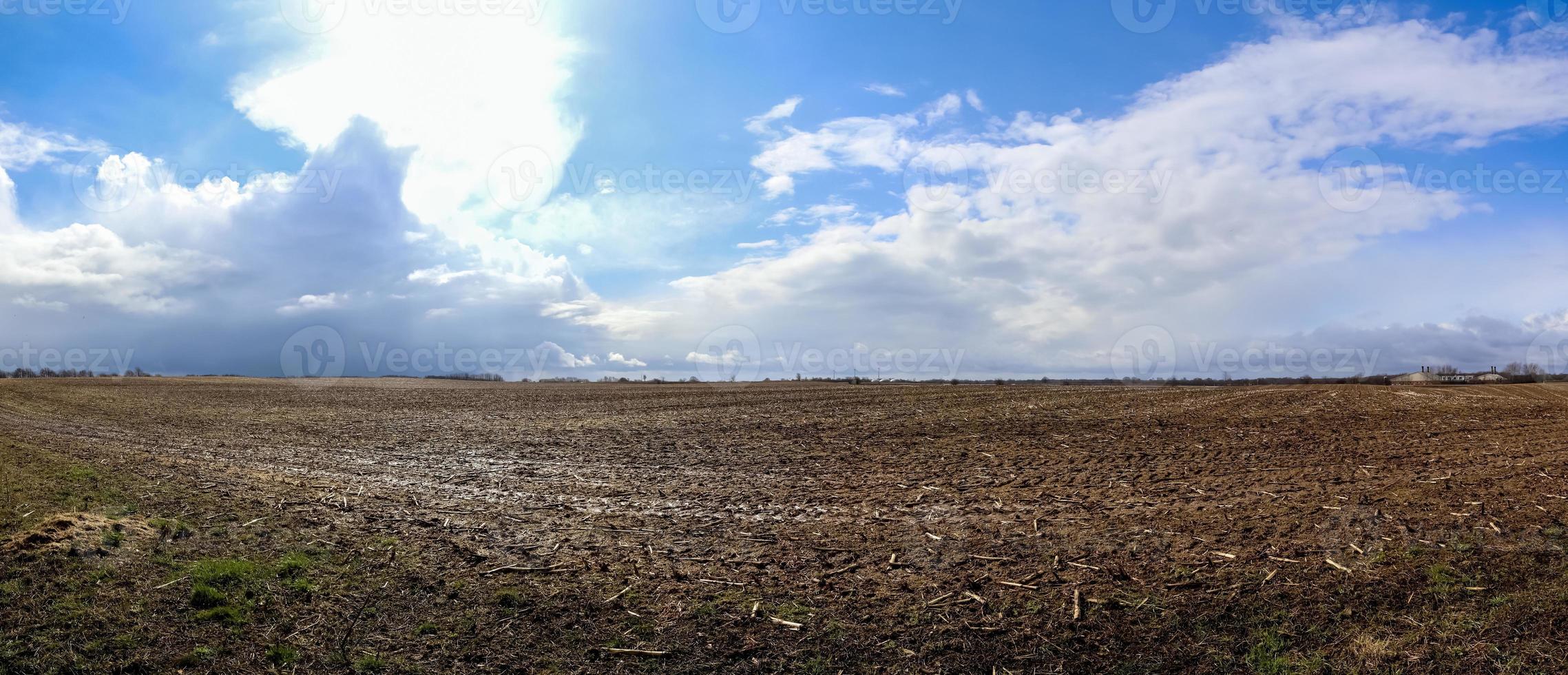 belo panorama de alta resolução de uma paisagem de país do norte da Europa com campos e grama verde foto