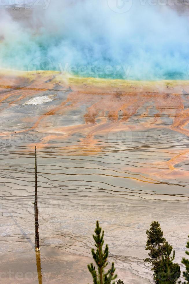 grande primavera prismática no parque nacional de yellowstone foto