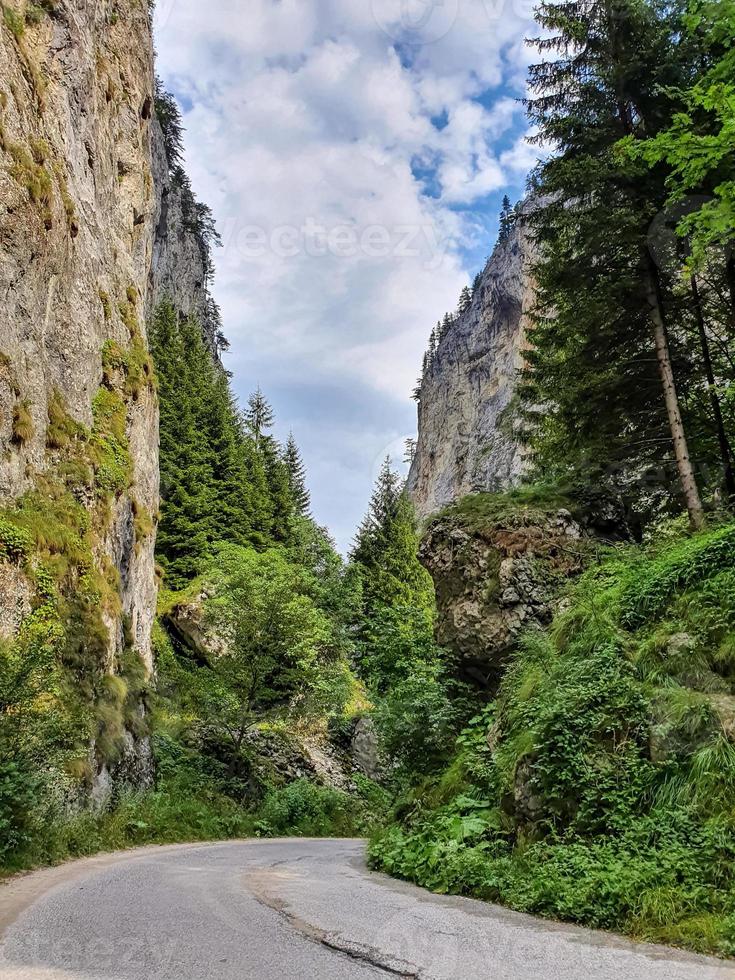 estrada curvilínea entre rochas íngremes do desfiladeiro de trigrad nos rhodopes ocidentais, bulgária. foto