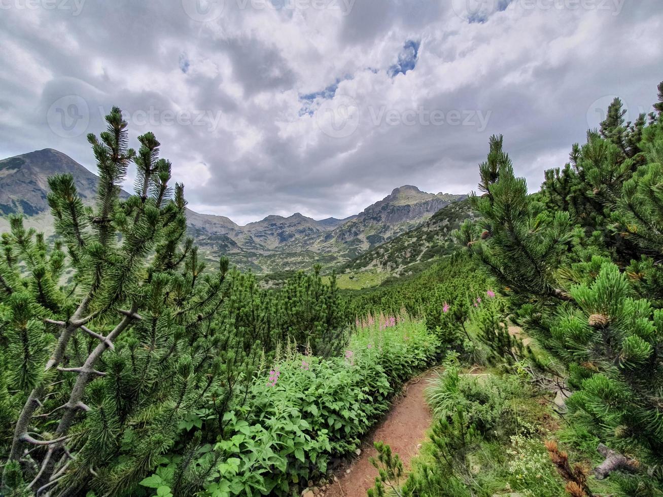 vista deslumbrante a caminho do pico jangal e do lago popovo nas montanhas pirin, bulgária. foto