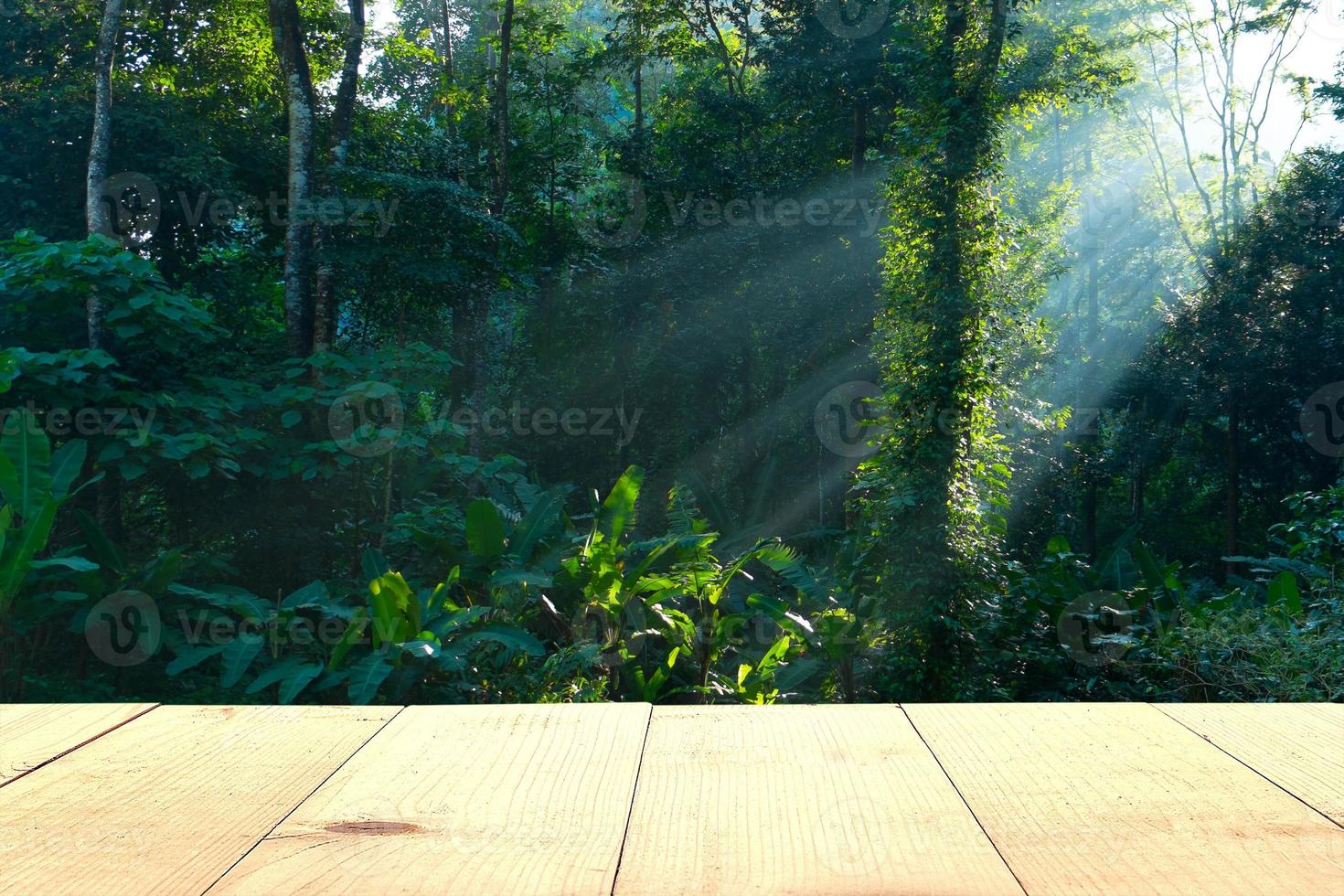 mesa de madeira e floresta tropical de raio de sol foto