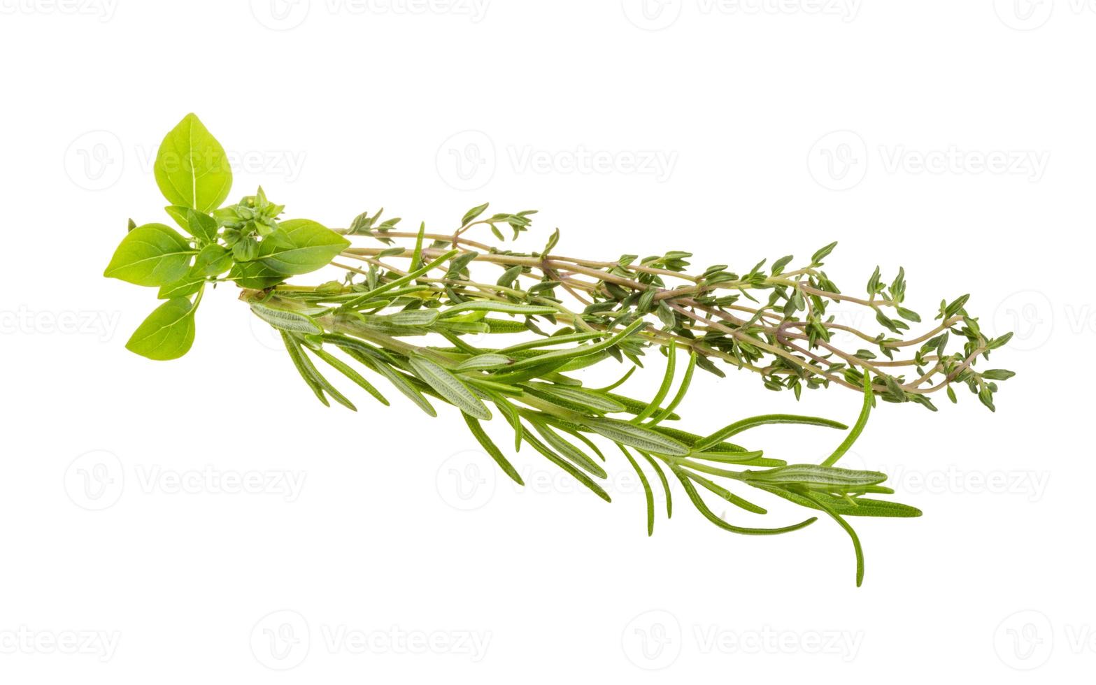ervas aromáticas frescas em fundo branco foto
