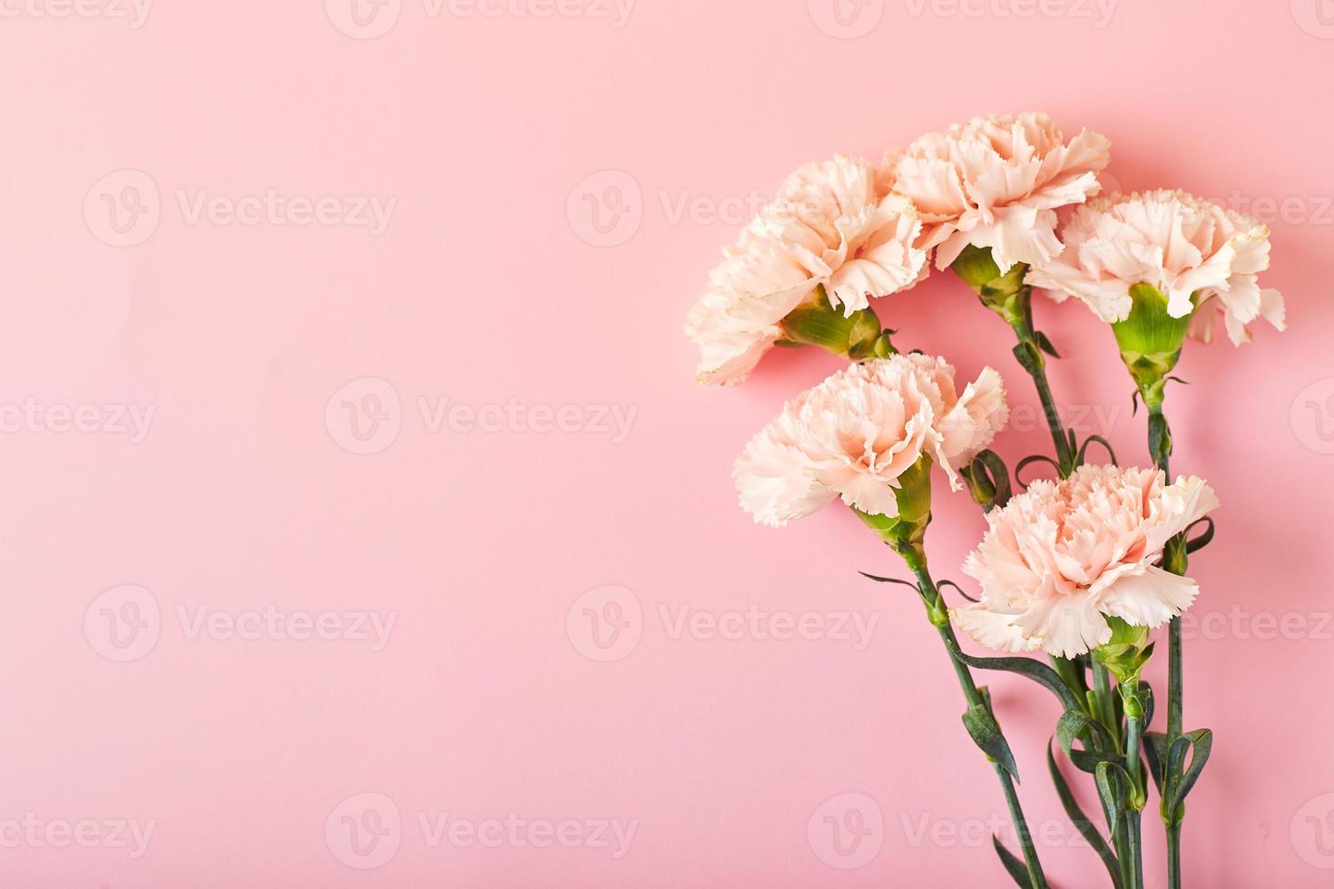 buquê de cravos rosa. conceito de design de saudação de férias com buquê de cravos no fundo da mesa rosa foto