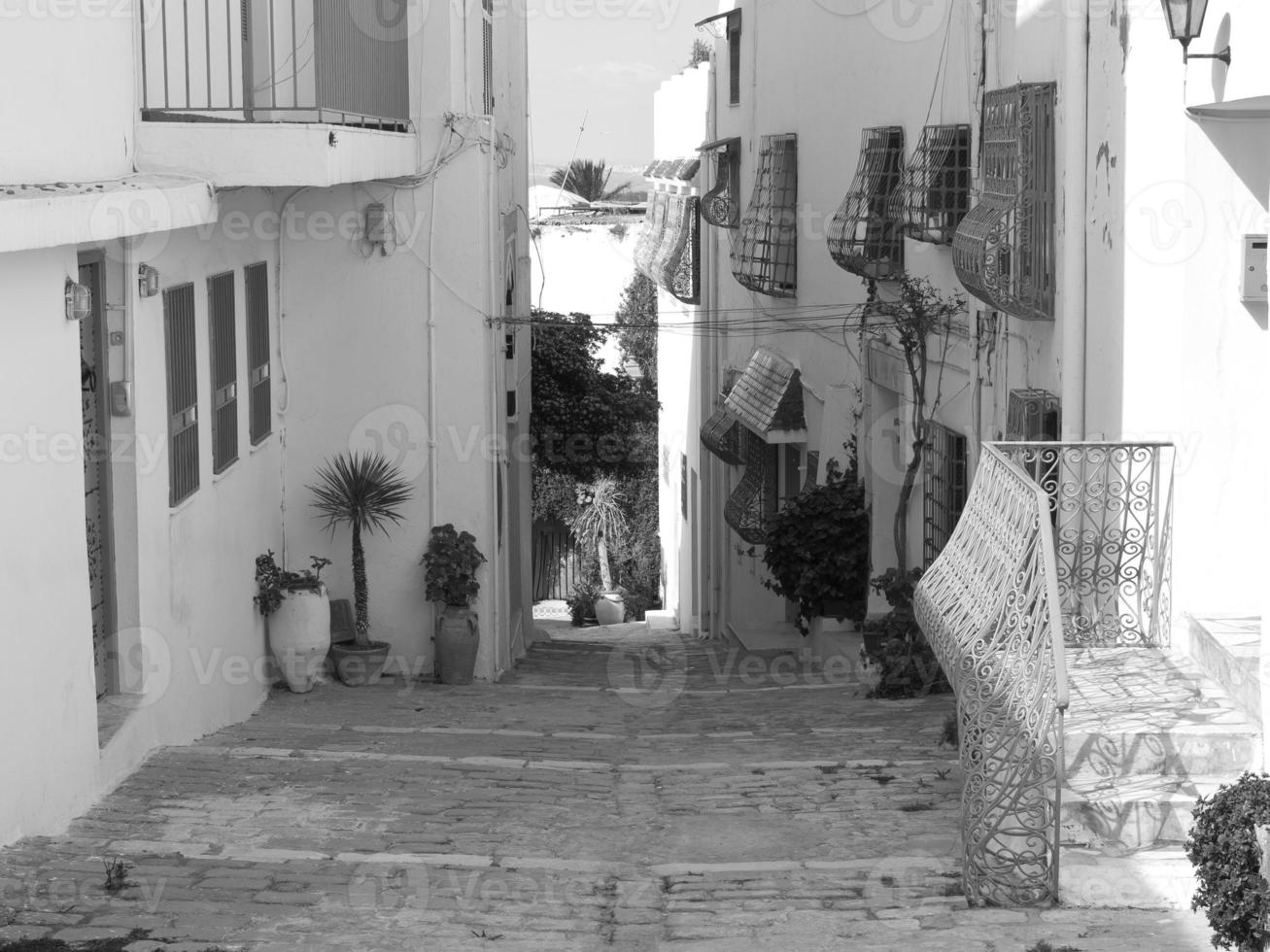 a cidade de tunis foto