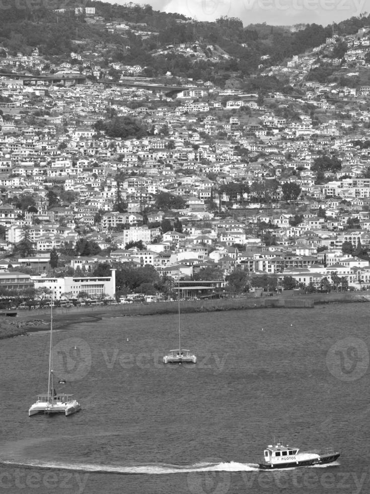 a ilha da madeira foto