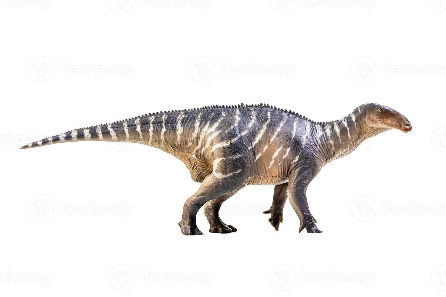 dinossauro iguanodonte em branco isolar o traçado de recorte de fundo foto