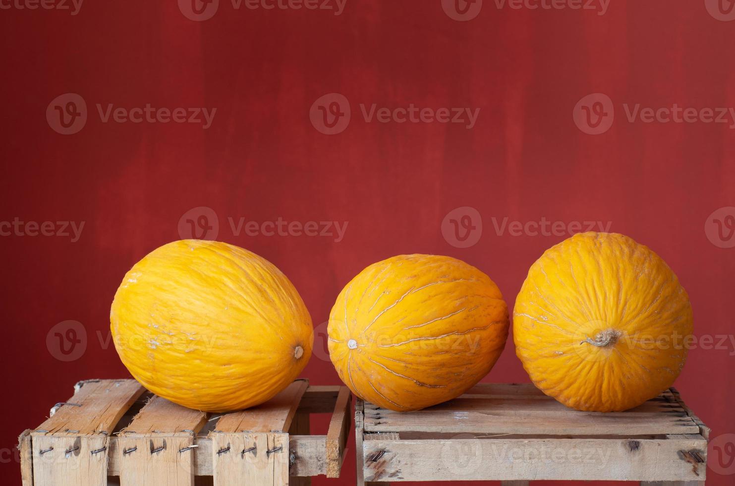 três melões amarelos maduros estão lado a lado em caixas de madeira para frutas. o fundo é vermelho. foto