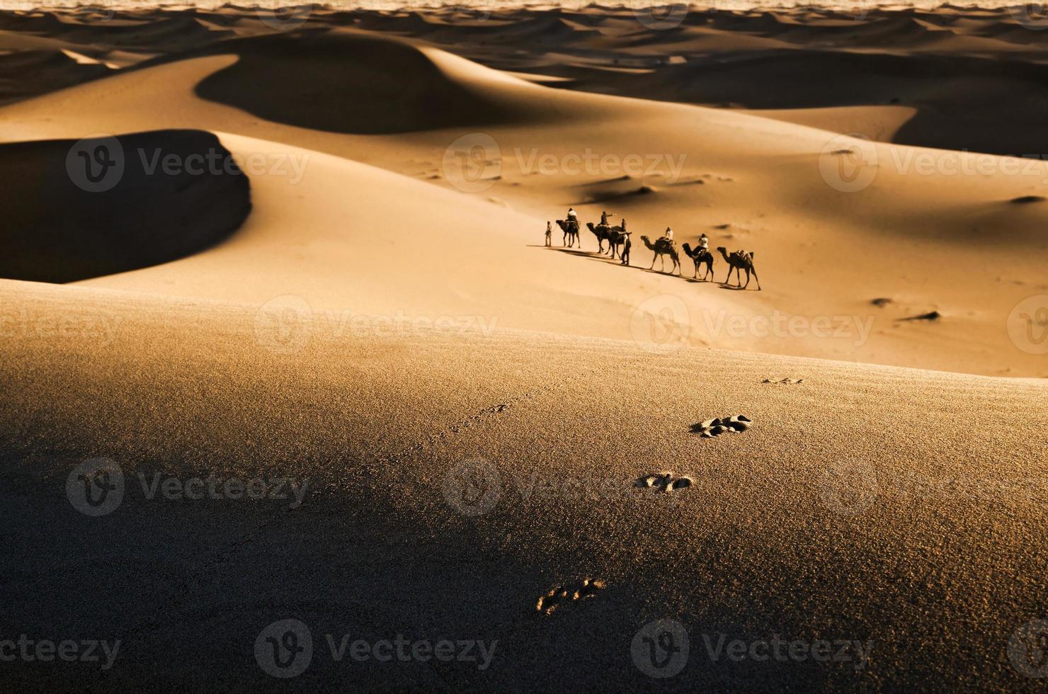 caravana no deserto foto