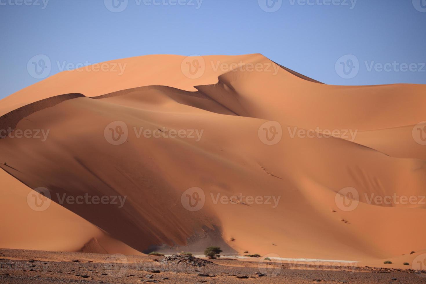 die wüste sahara em argélia foto