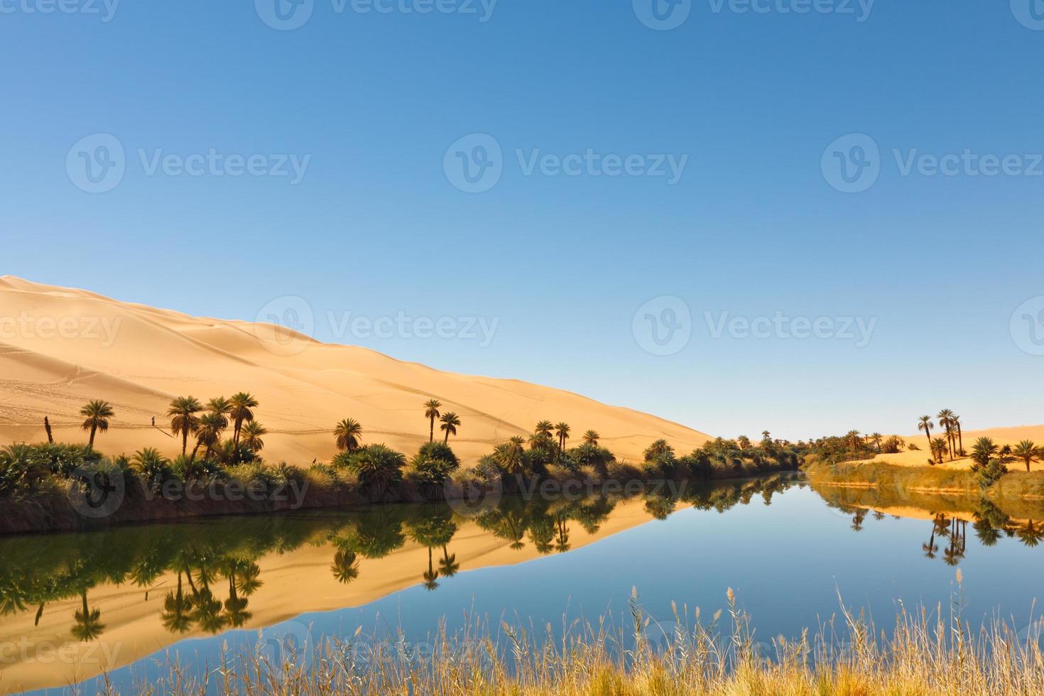 umm al-ma lake - oásis no deserto, saara, líbia foto