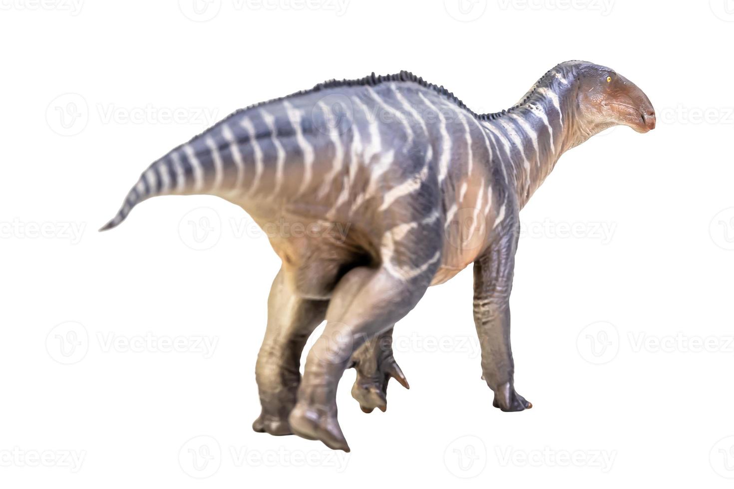 dinossauro iguanodonte em branco isolar o traçado de recorte de fundo foto