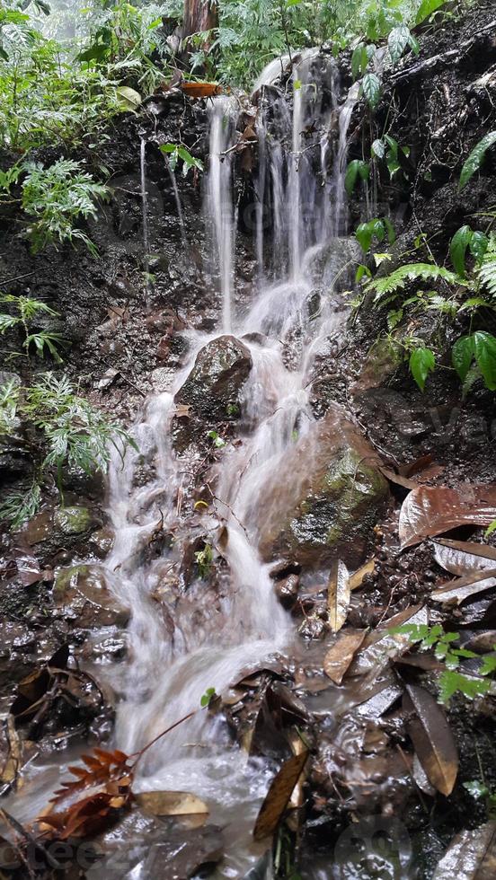 uma pequena cachoeira que ocorre quando chove forte na floresta. foto