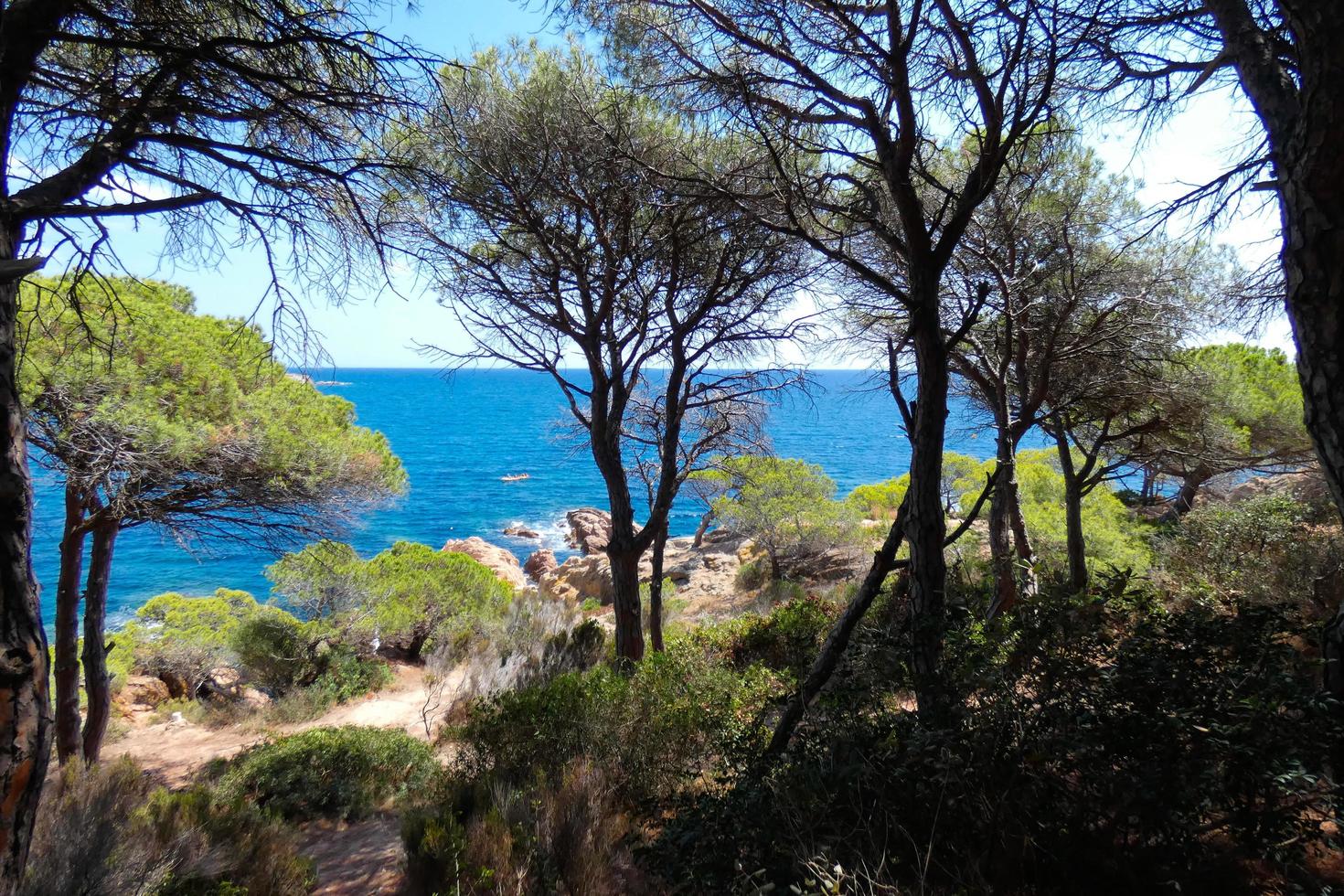 costa acidentada, costa mediterrânea na costa brava catalã, sant feliu de guixols foto