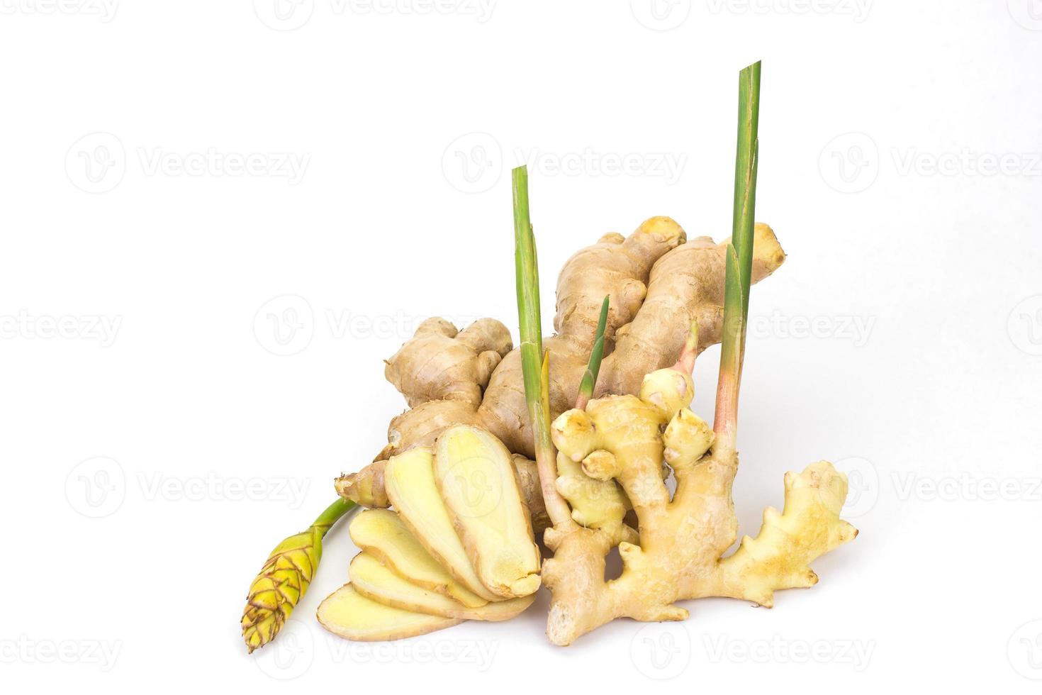 o gengibre e gengibre flor de fundo branco gengibre é uma planta anual. com rizomas subterrâneos a casca externa é marrom amarelada. a carne na cor barro tem uma fragrância única. foto