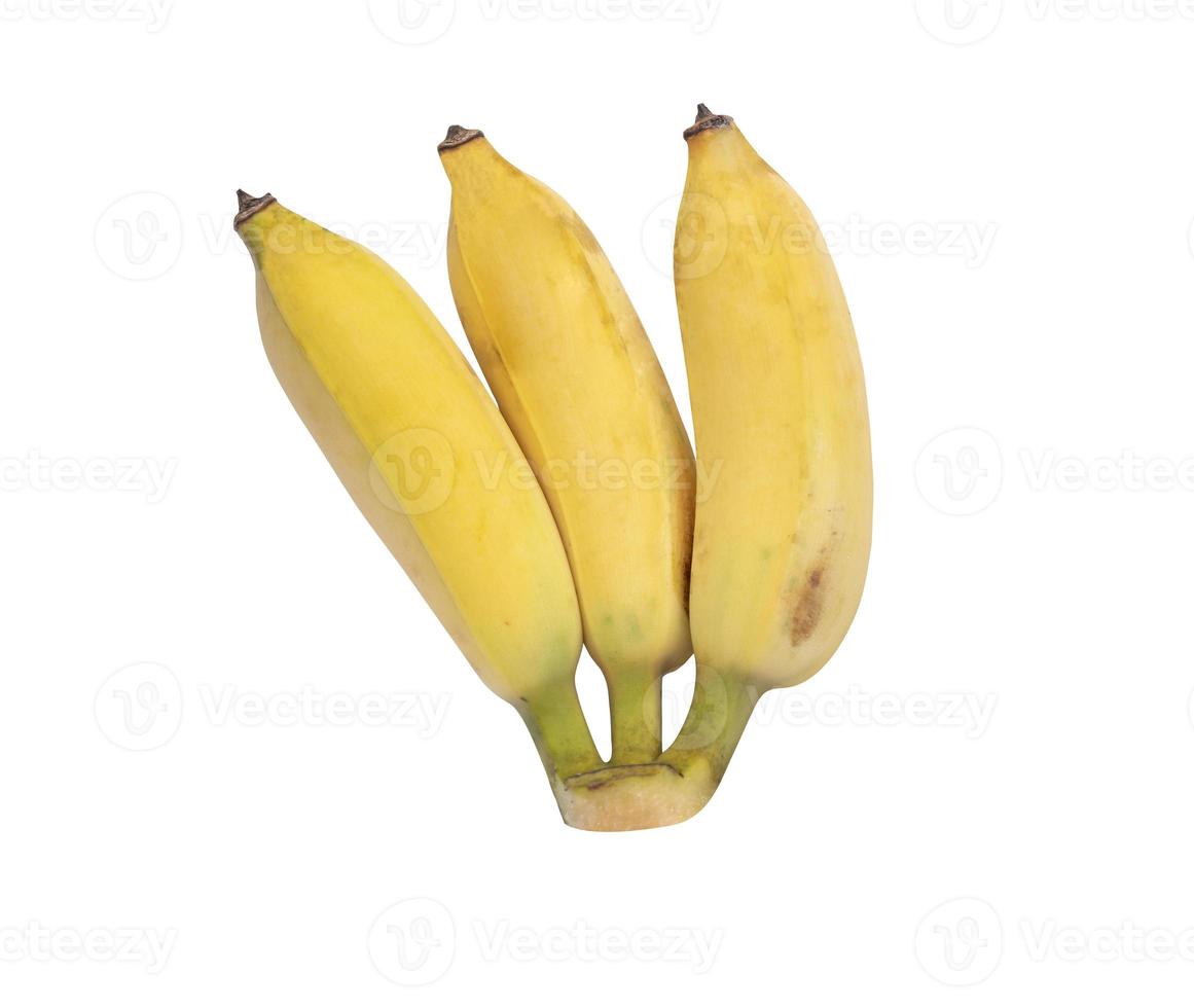 banana cultivada isolada em fundos brancos foto