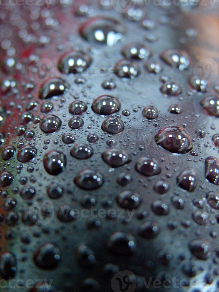 vista de gotas de orvalho foto