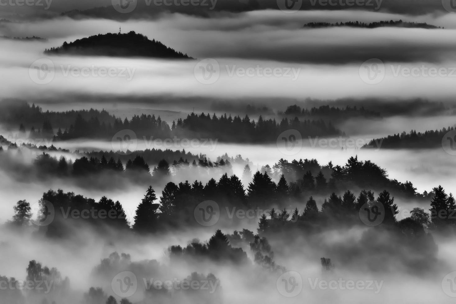 manhã de neblina no campo foto