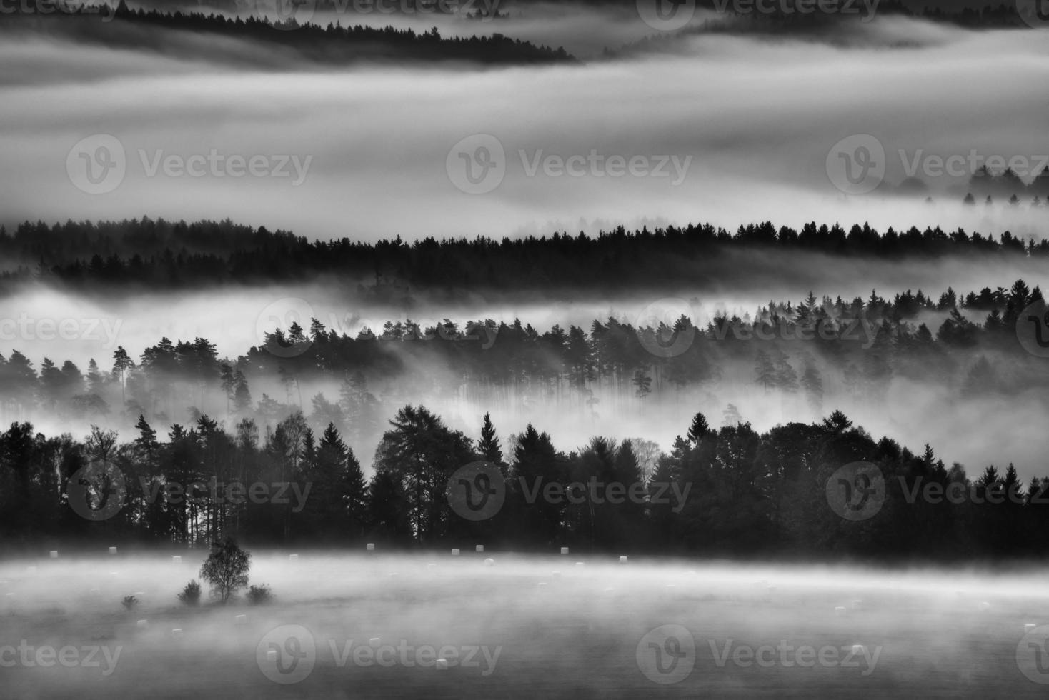 paisagem matinal com neblina foto