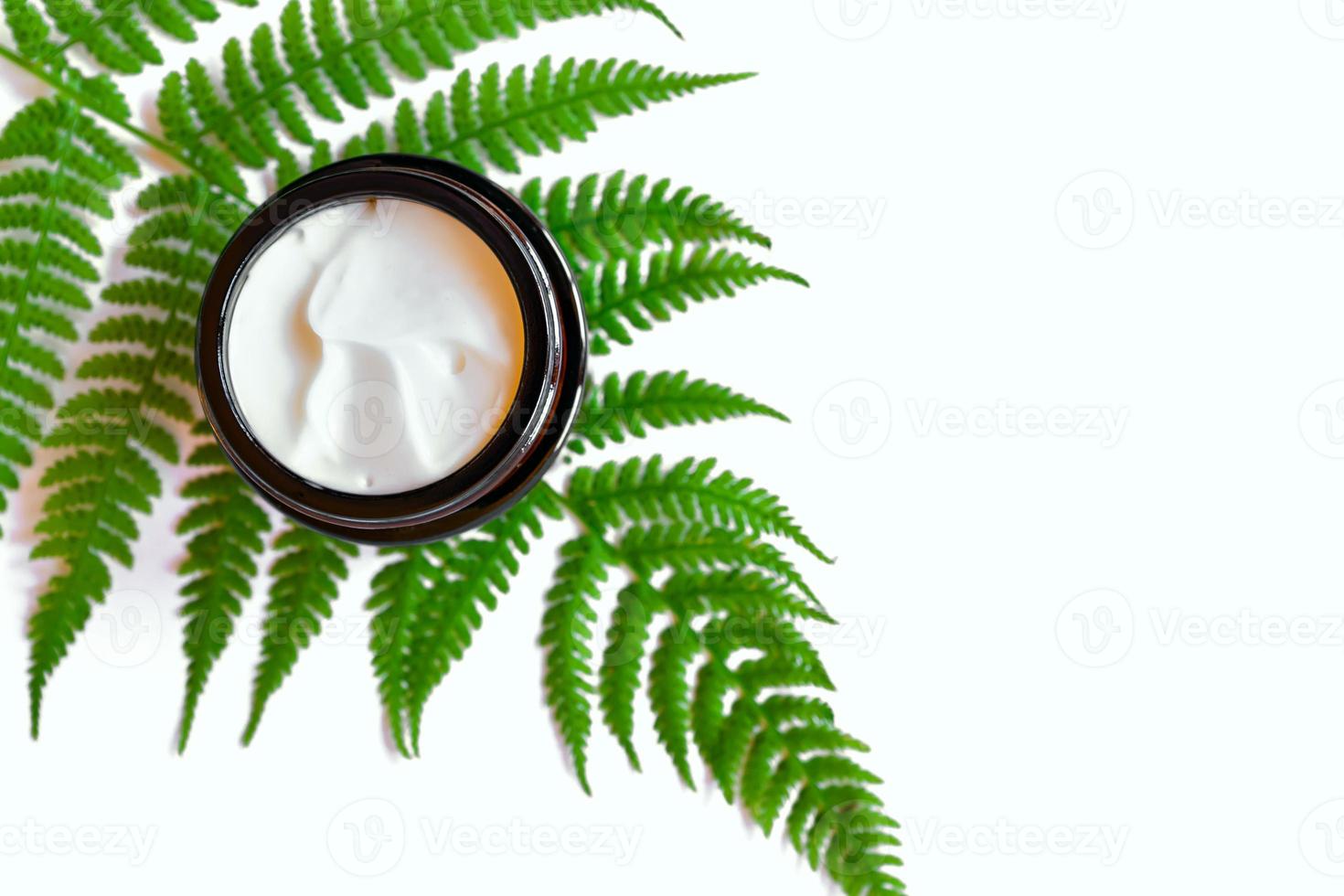 pote de creme facial orgânico natural em folhas de samambaia. copie o espaço para o design da sua marca de cosméticos foto