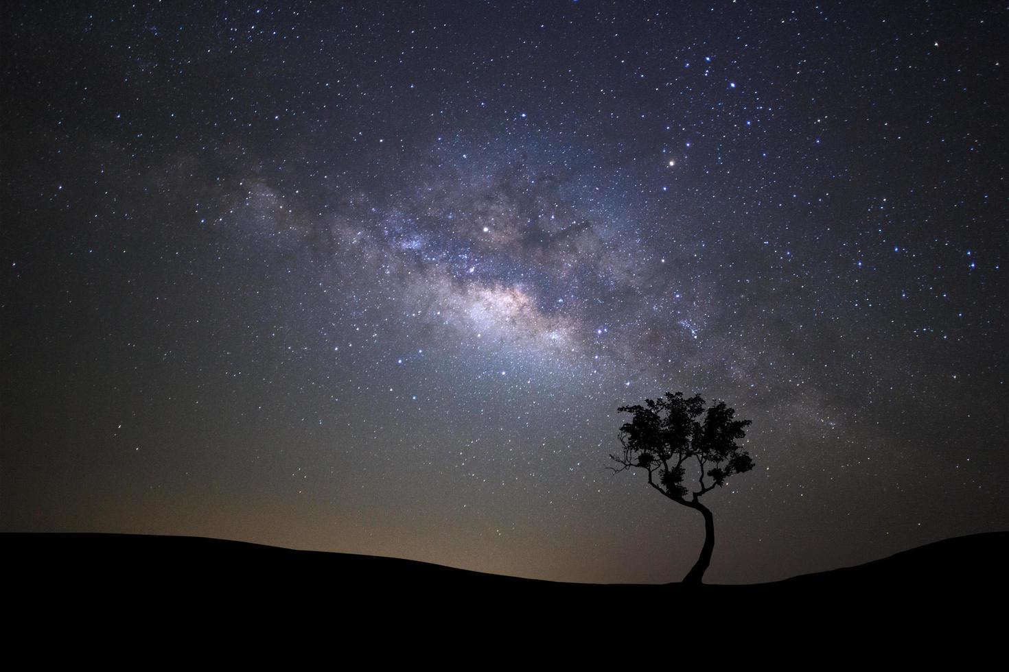 silhueta de paisagem de árvore com galáxia via láctea e poeira espacial no universo, céu estrelado noturno com estrelas foto