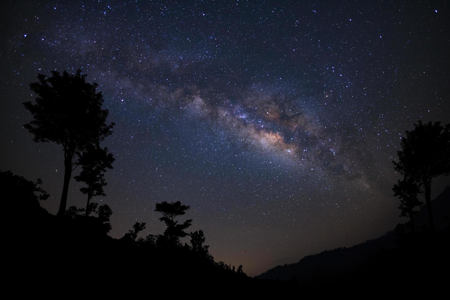 paisagem com via láctea, céu noturno com estrelas e silhueta de árvore, fotografia de longa exposição, com grãos. foto