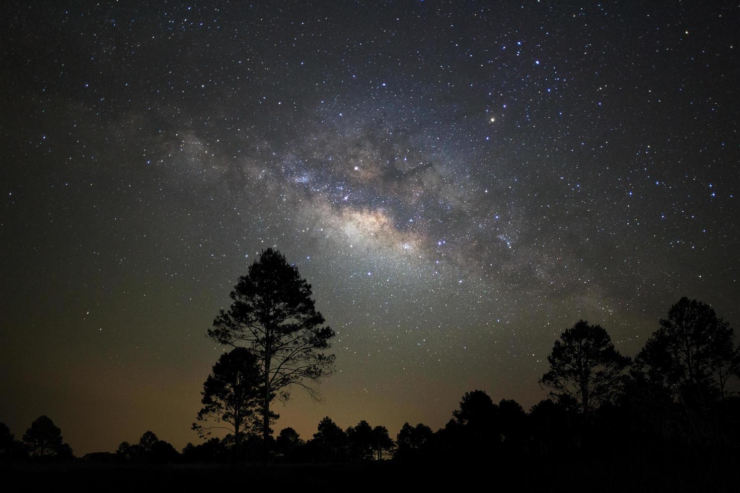 silhueta de paisagem de árvore com galáxia via láctea e poeira espacial no universo, céu estrelado noturno com estrelas foto