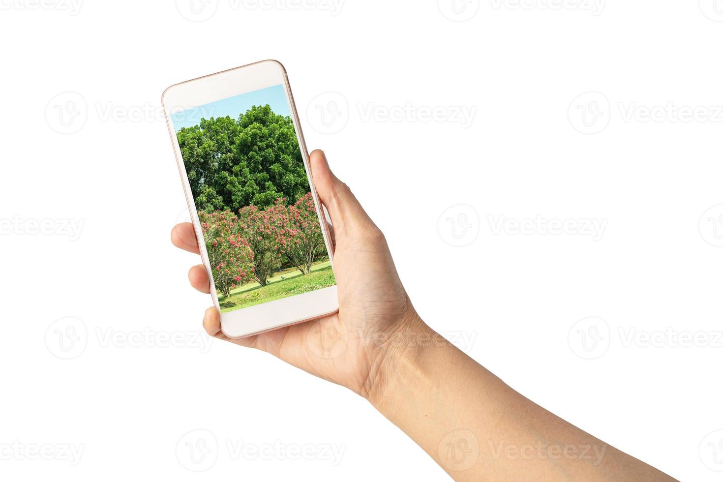 mão de mulher segurando o celular para viajar fotografia de paisagem foto