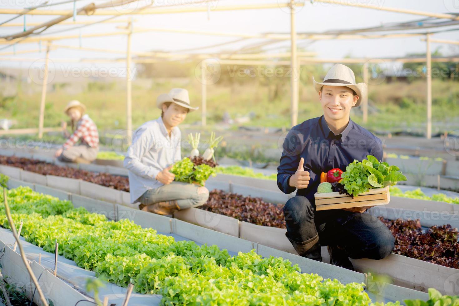 belo jovem asiático dois homens e uma mulher pegando vegetais orgânicos frescos com cesta juntos na fazenda hidropônica, colheita e agricultura para alimentação saudável e conceito de negócios. foto