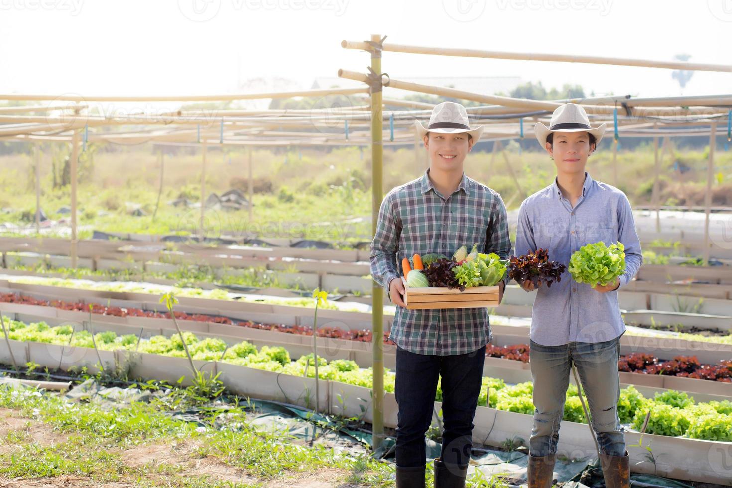 belo retrato jovem dois homens colheita e pegando horta orgânica fresca na cesta na fazenda hidropônica, agricultura para alimentação saudável e conceito de empresário de negócios. foto