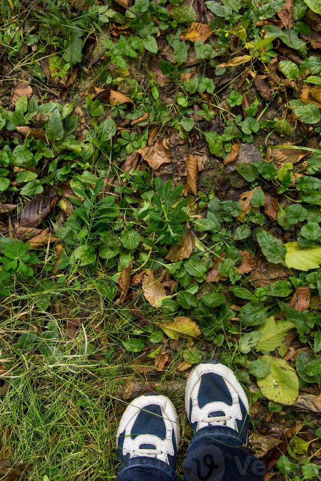 pés femininos em sapatos esportivos azuis no chão com grama foto