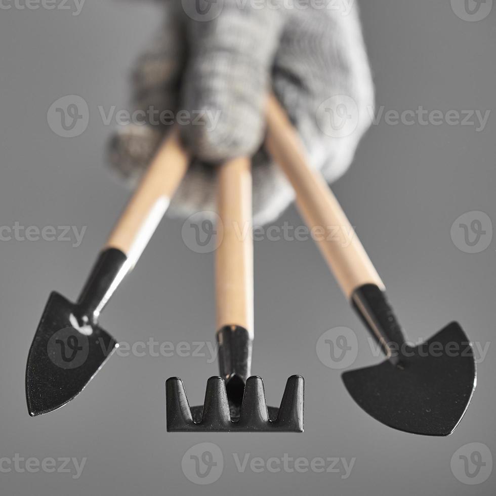mão em uma luva segurando ferramentas de jardinagem isoladas em fundo cinza. o fundo em desfoque. foto
