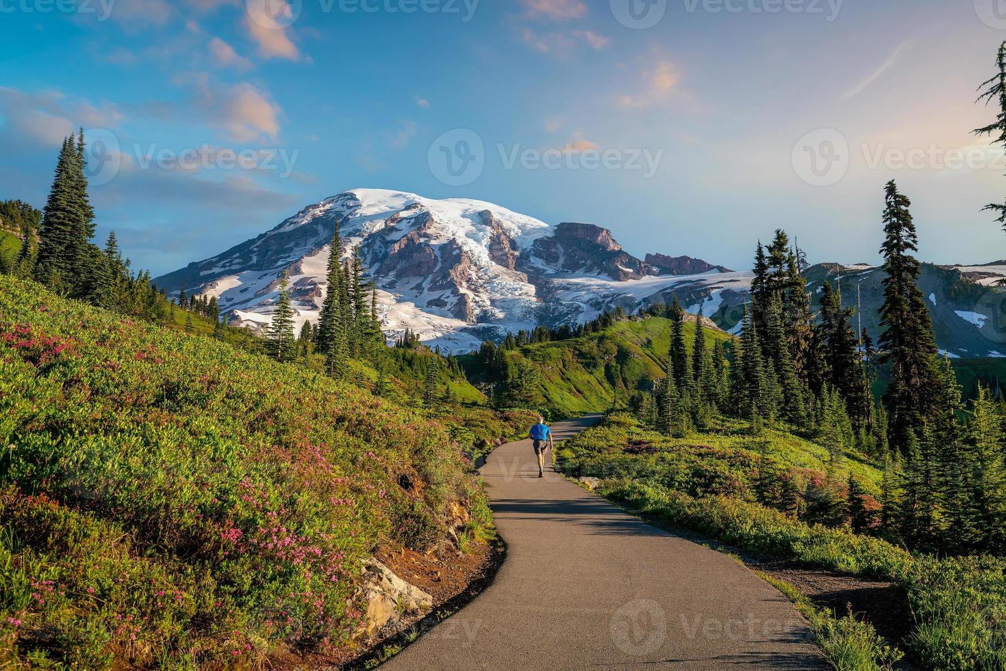 paisagem do parque nacional do monte rainier nos eua foto