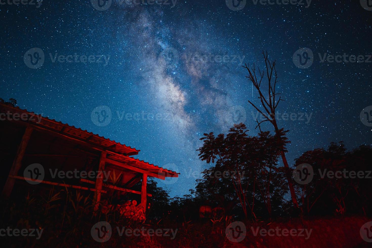 fundo da via láctea de cena noturna, árvores contra o céu à noite foto