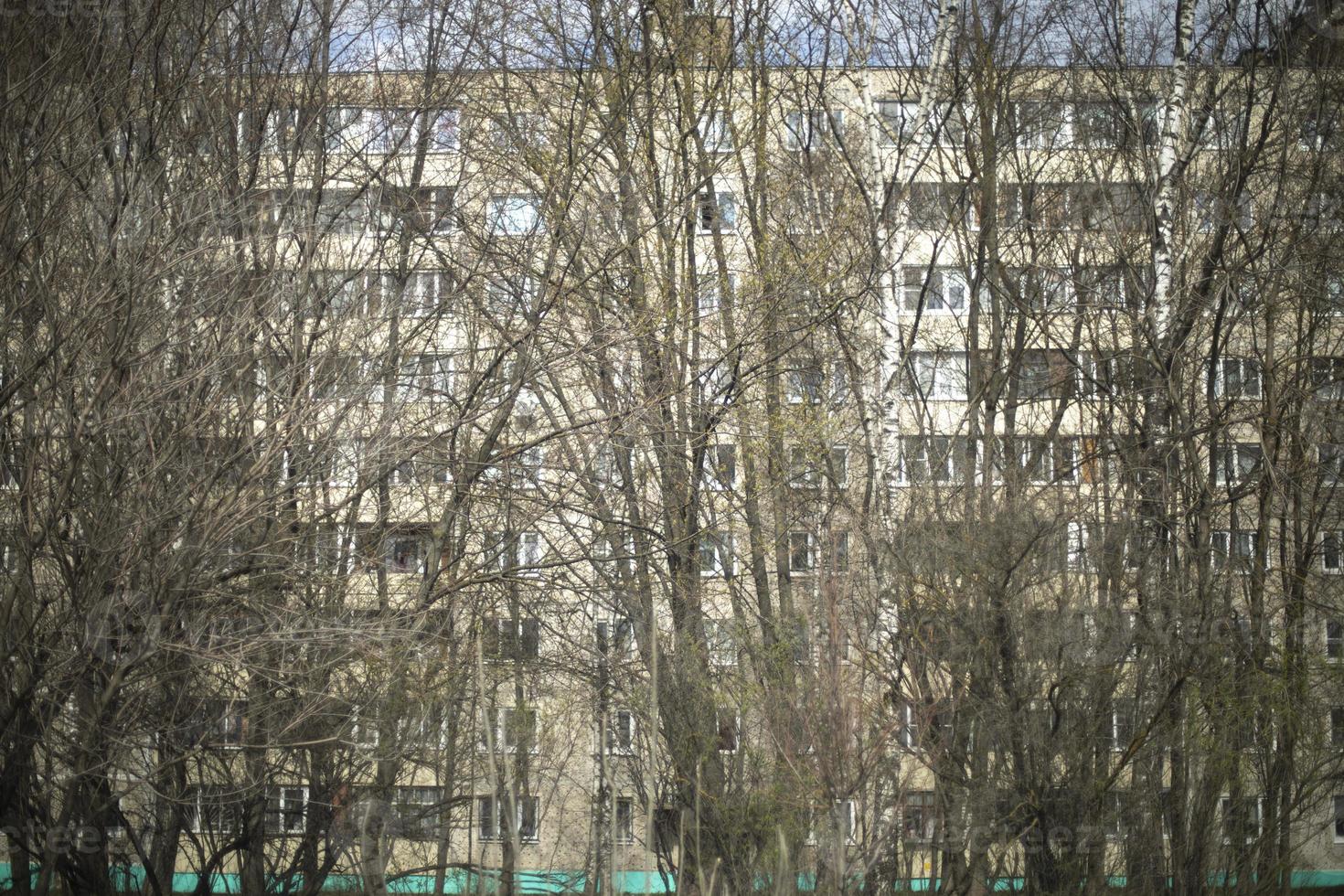 muitas árvores na frente da casa. vista urbana na rússia. foto