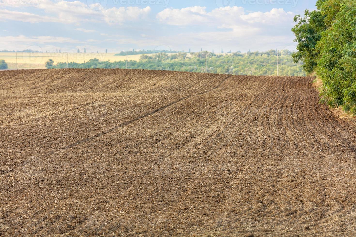 linhas suaves de terra de campo arado no contexto de uma paisagem rural de verão. foto