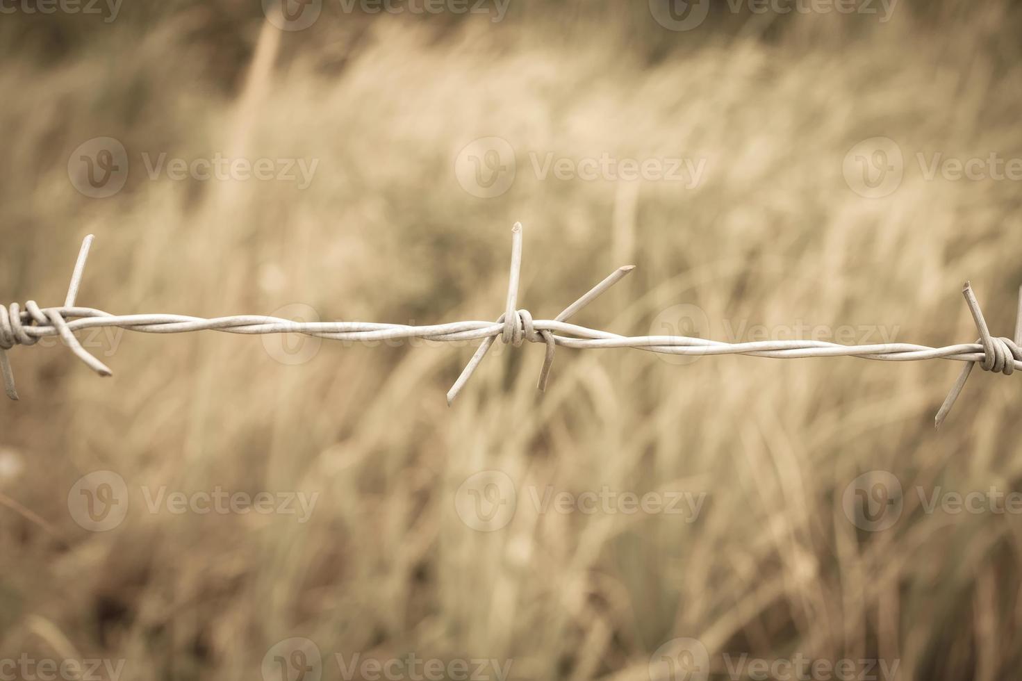 cerca de arame farpado e campo verde closeup foto