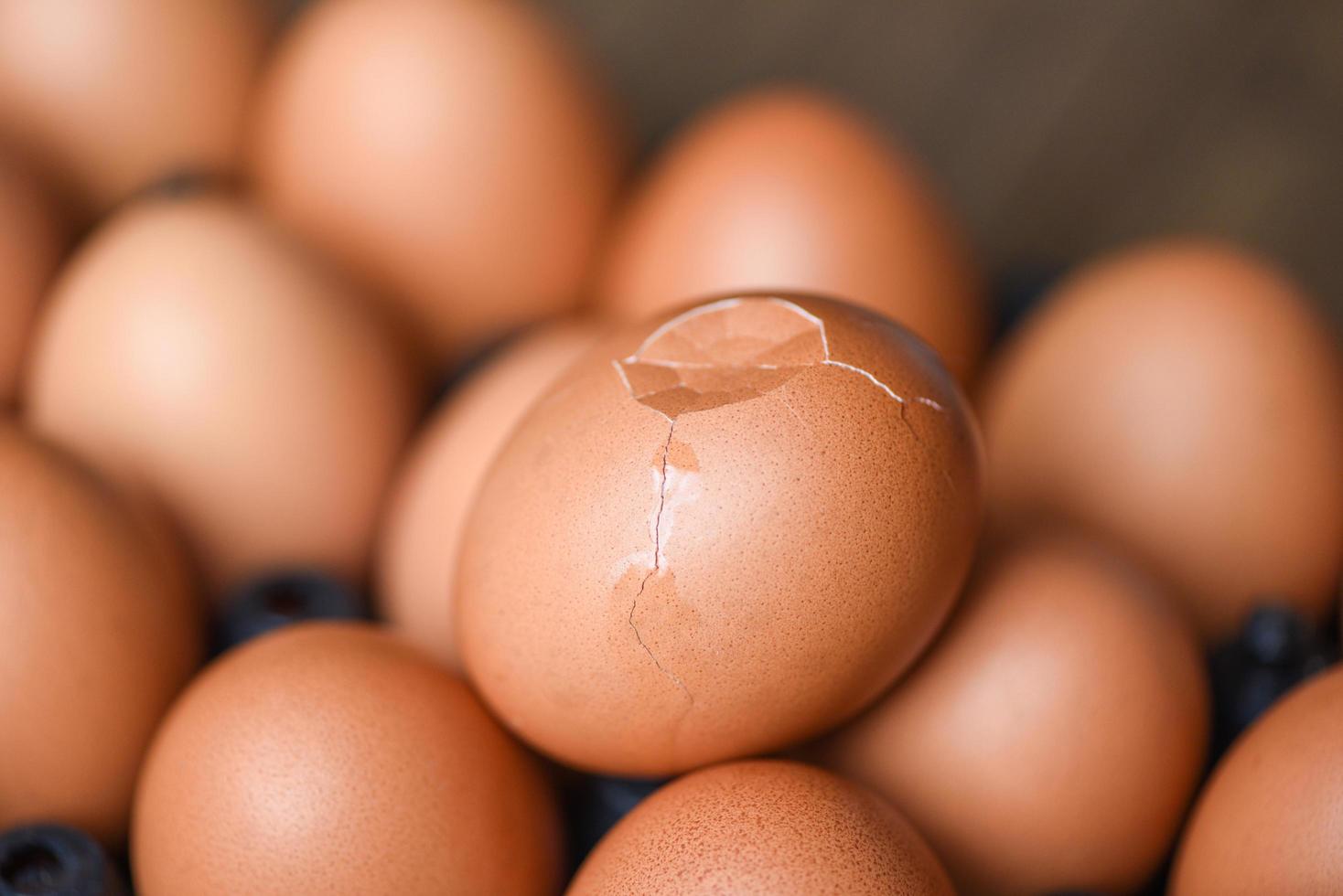 ovos de galinha fresca com ovo quebrado foto