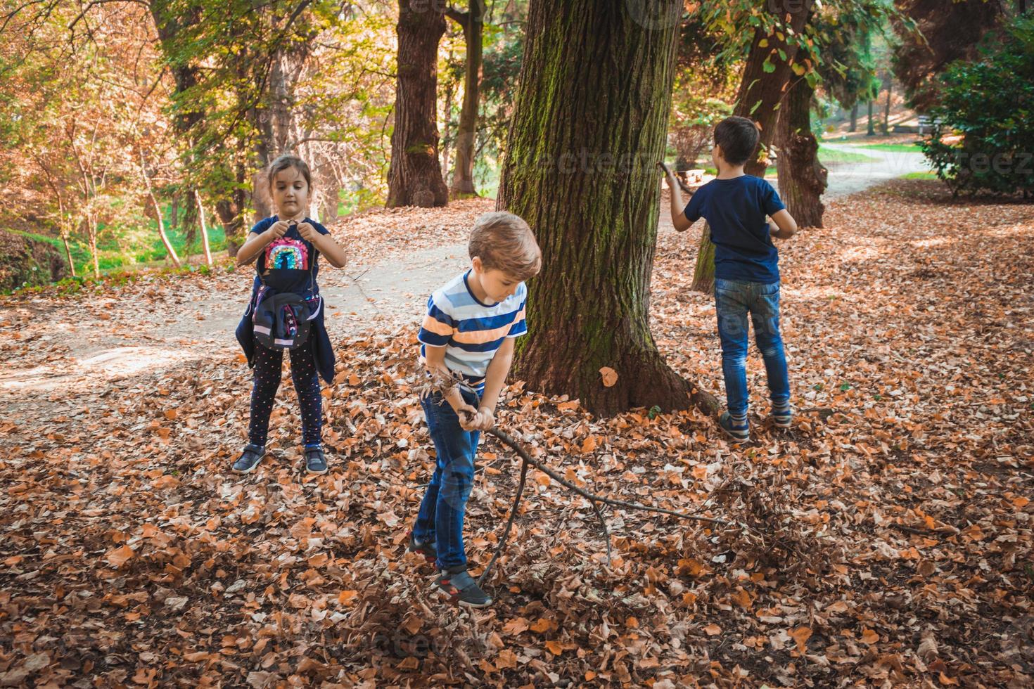 grupo de crianças brincando na natureza em dia de outono. foto