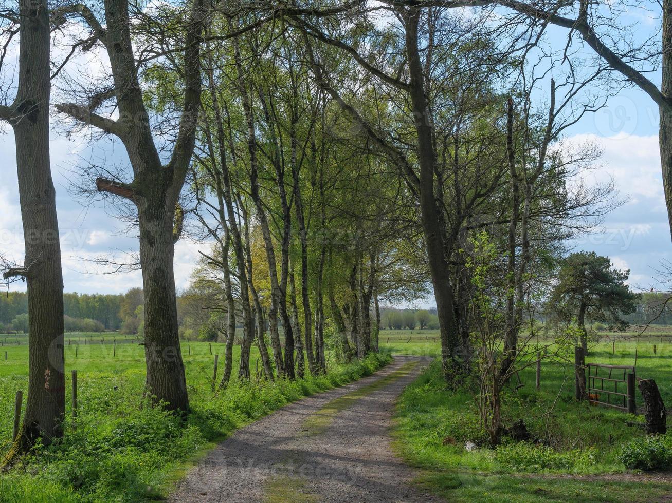 caminhada no dingdener heider foto