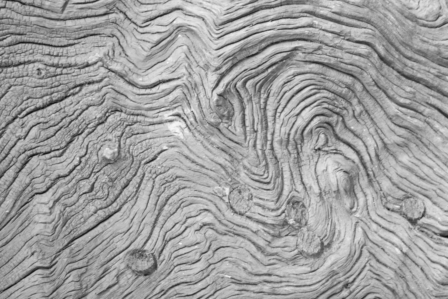 detalhe preto e branco do padrão de prancha de madeira com botão de buraco foto