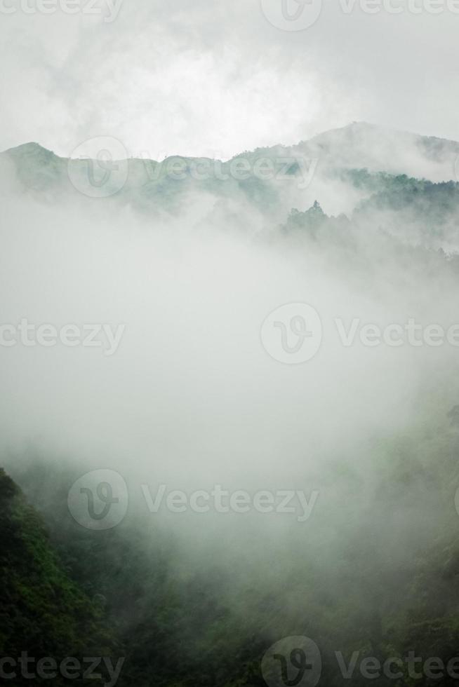 montanha escura, floresta de pinheiros com neblina foto