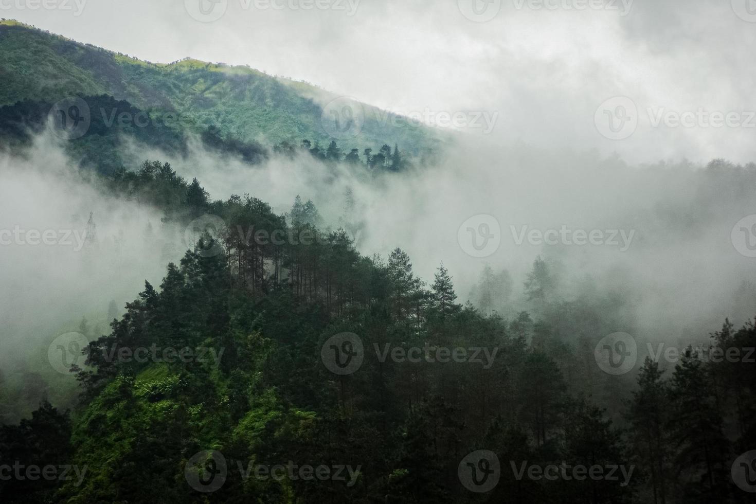 montanha escura, floresta de pinheiros com neblina foto