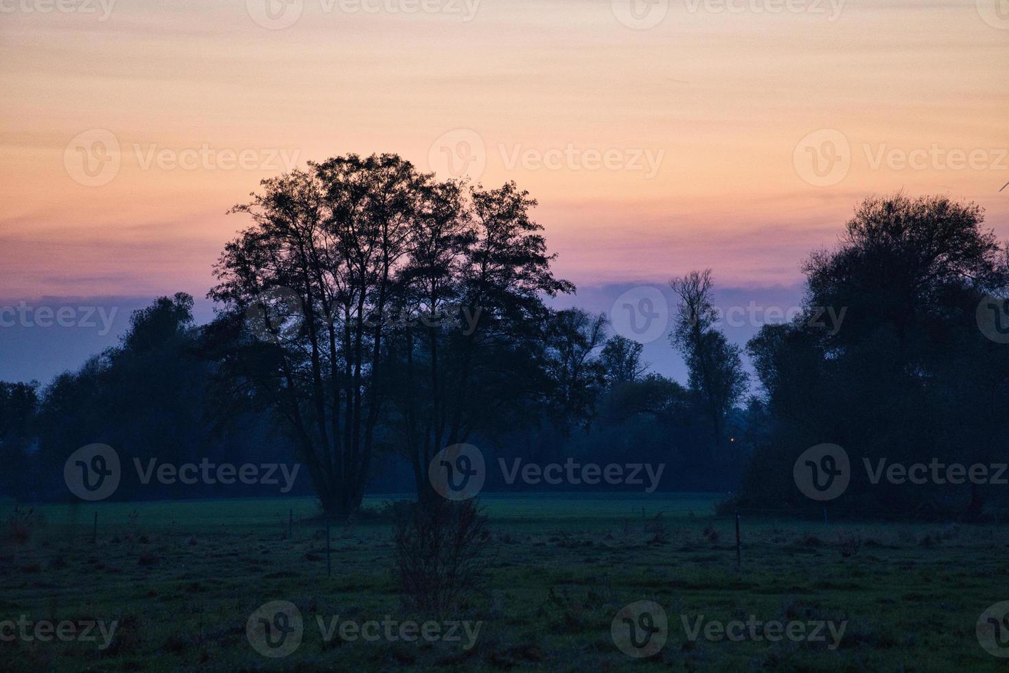 ao amanhecer, nascer do sol místico com uma árvore no prado na névoa. cores quentes da natureza. fotografia de paisagem em brandenburg foto