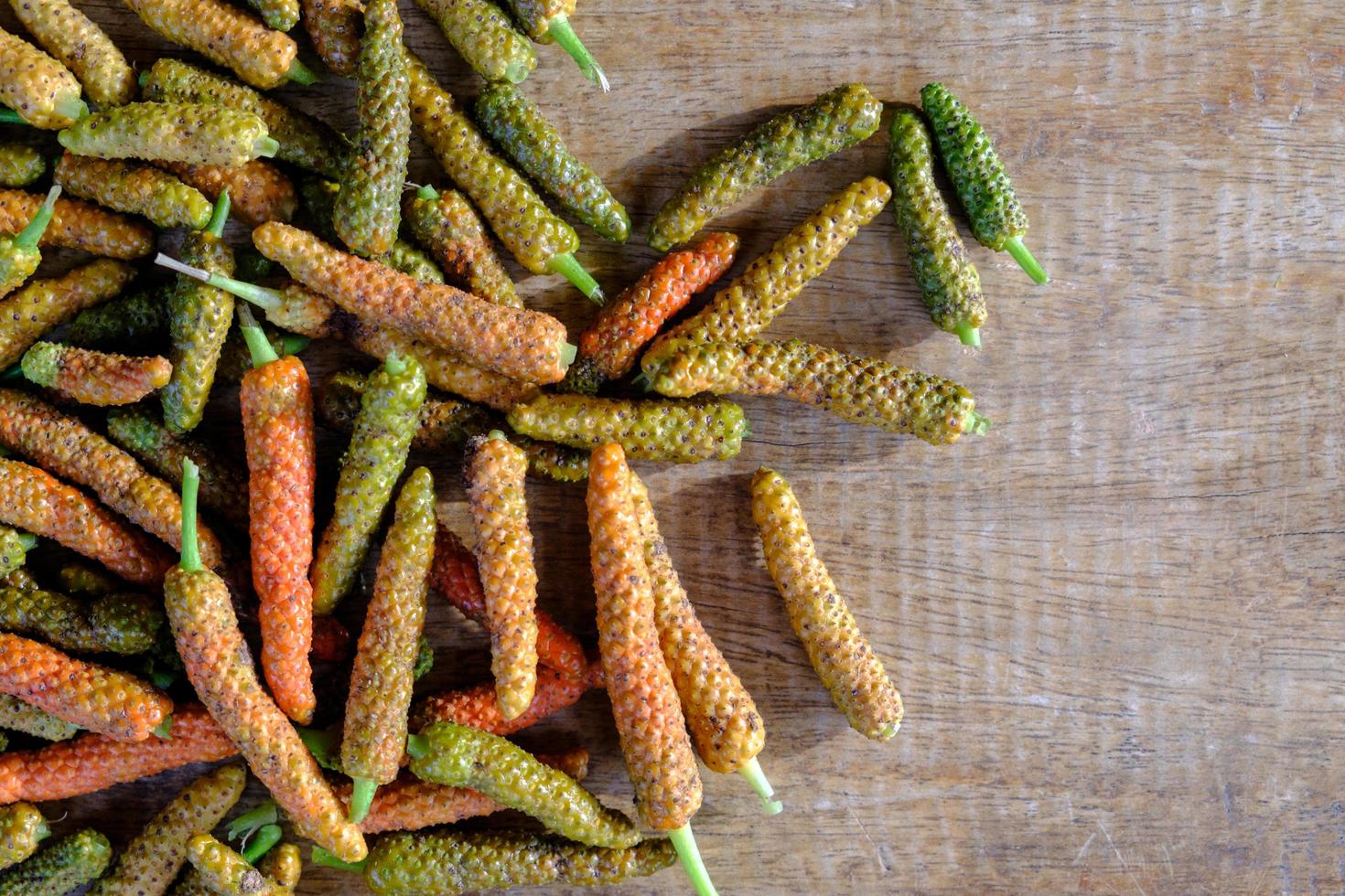 pimenta longa, especiarias e ervas com propriedades medicinais. foto