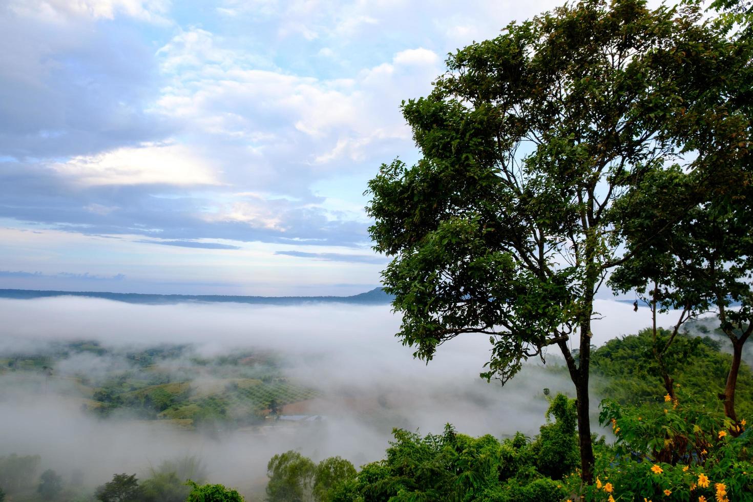 nevoeiro na floresta com o nascer do sol da manhã no ponto de vista khao takhian ngo em khao-kho phetchabun, tailândia foto