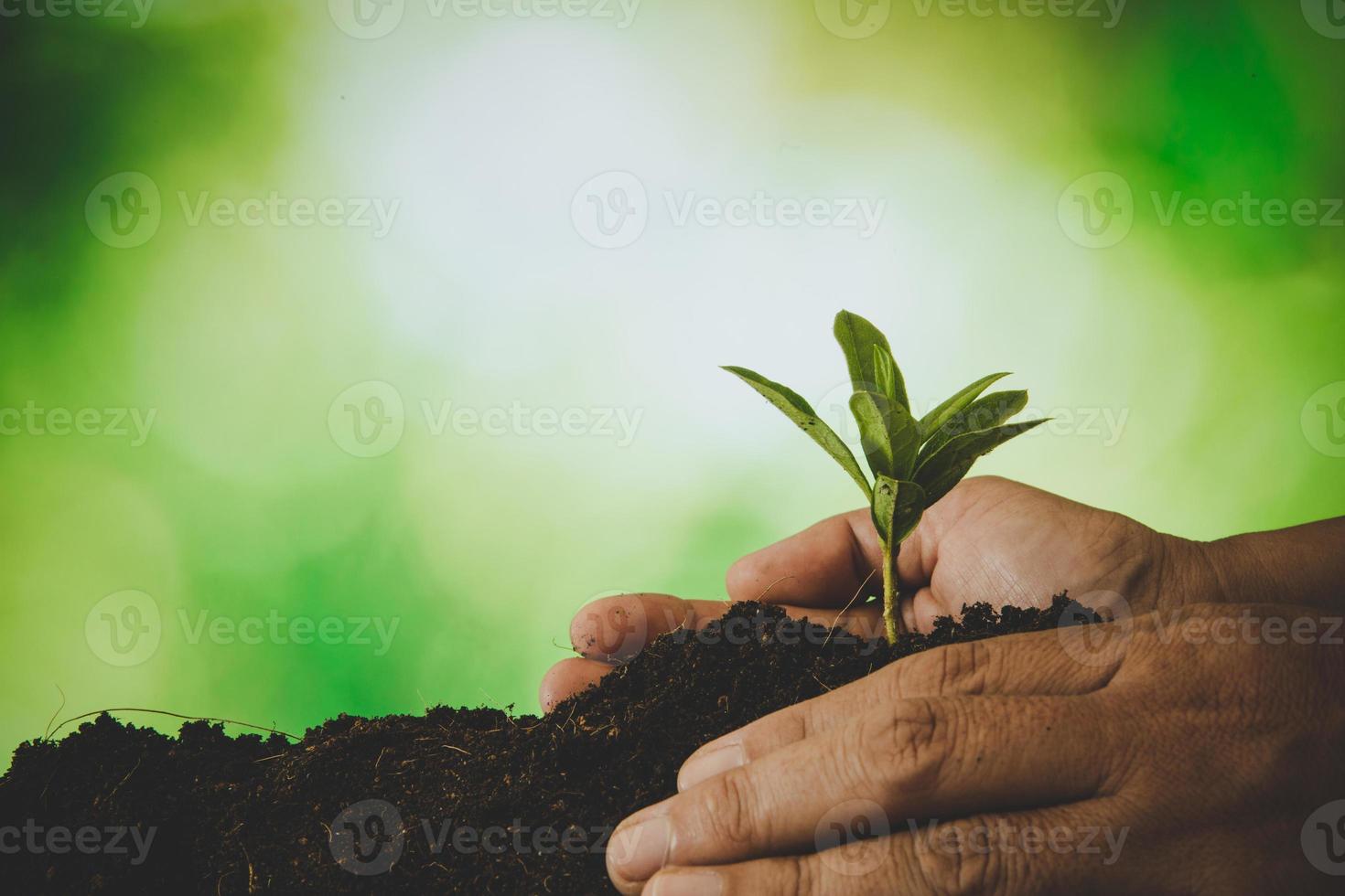 mãos sujas cuidam de árvores de plantas na terra no dia mundial do meio ambiente. jovem pequeno crescimento verde nova vida no solo na natureza ecologia. pessoa humana cresce mudas e protege no jardim. conceito de agricultura foto
