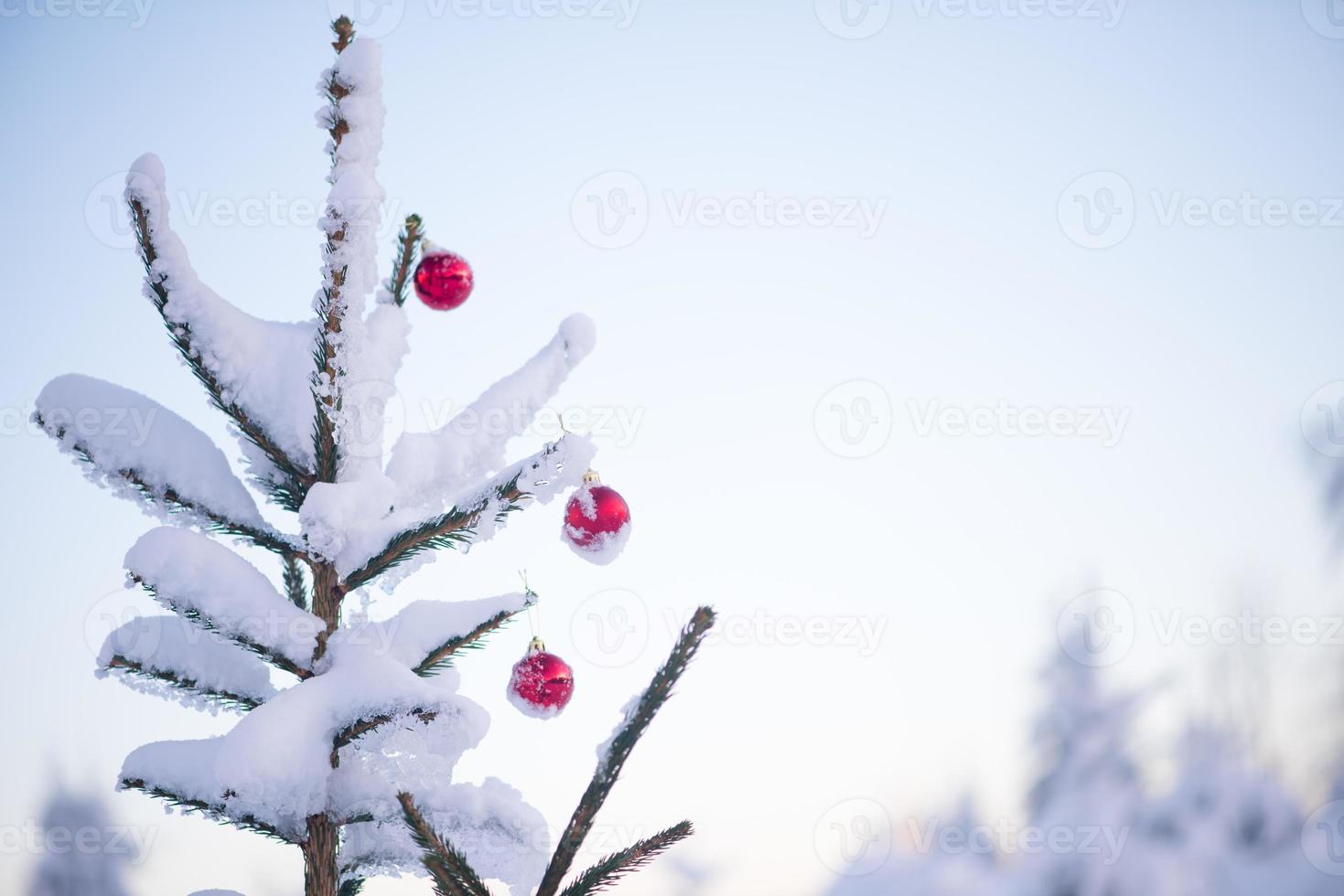 bolas de natal no pinheiro foto