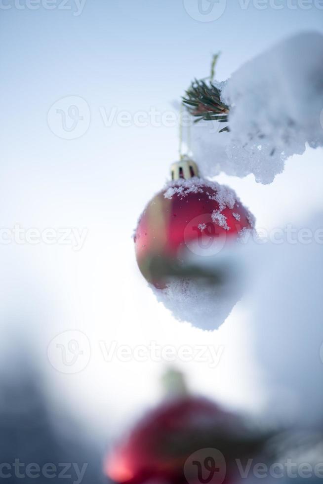 bolas de natal no pinheiro foto