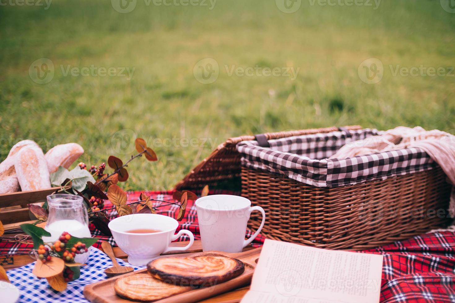 piquenique de verão com uma cesta de comida no cobertor no parque. espaço livre para texto foto